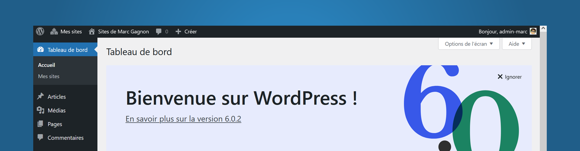 L'interface de WordPress